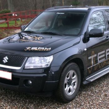 Pioneer-vitara.jpg